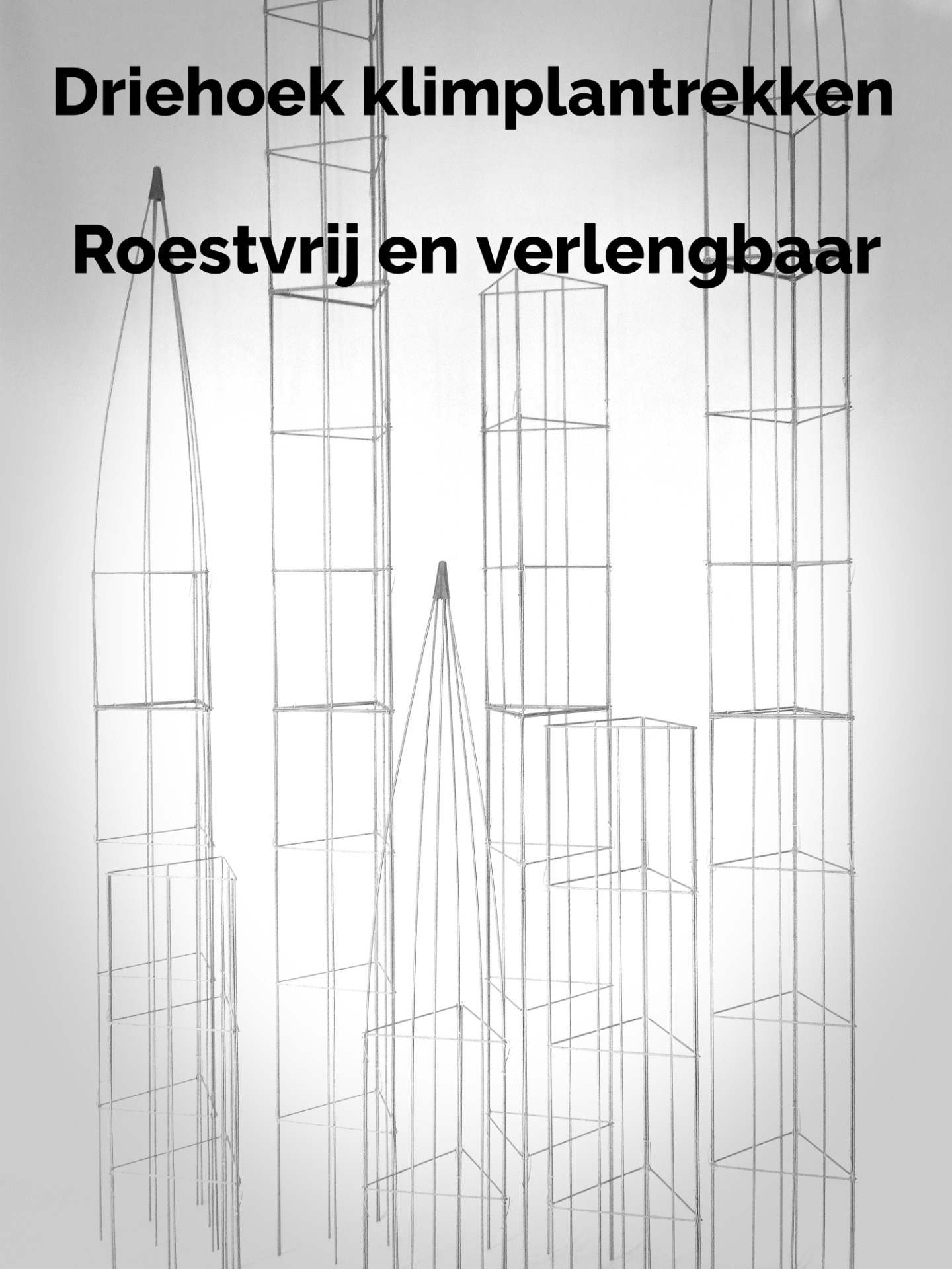 VERTICAAL TUINIEREN, met draadrekken van Easy Plant Pillar (EPP)            Verlengbaar en Roestvrij