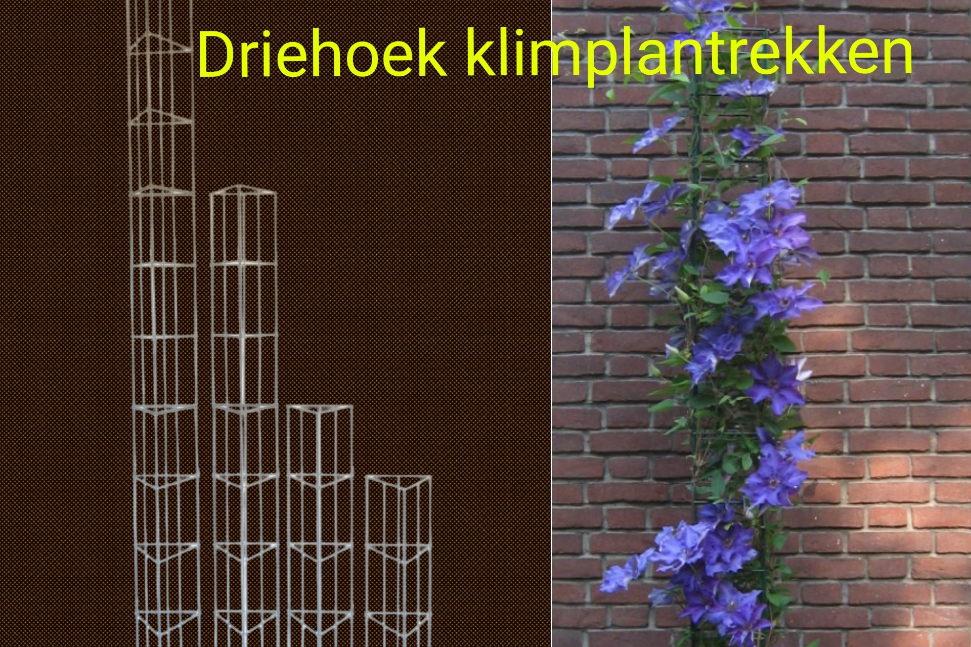 VERTICAAL TUINIEREN, met draadrekken van Easy Plant Pillar (EPP)            Verlengbaar en Roestvrij