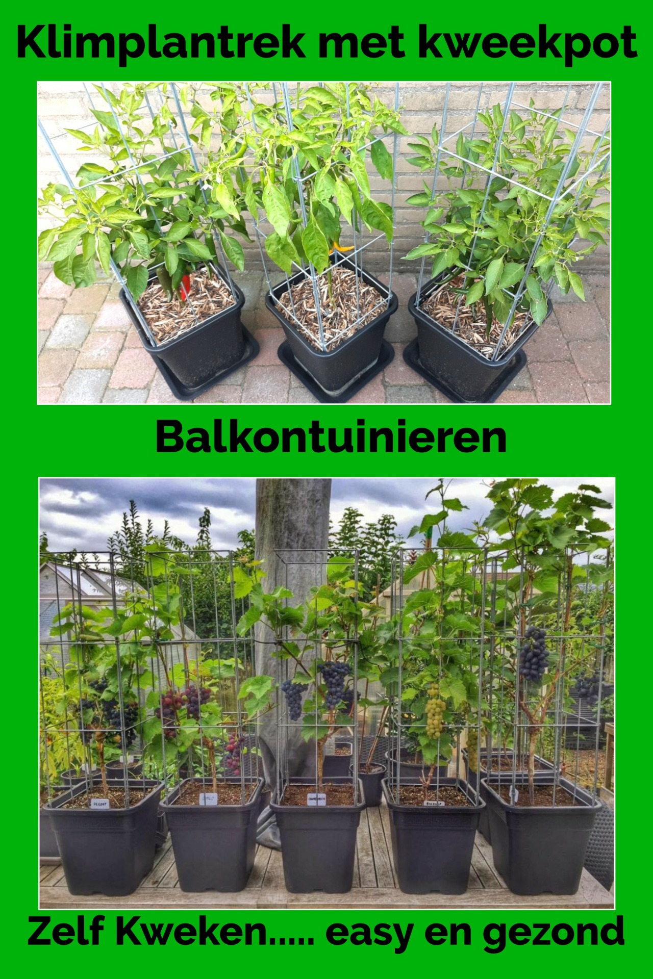 NU 10% HERFST KORTING 