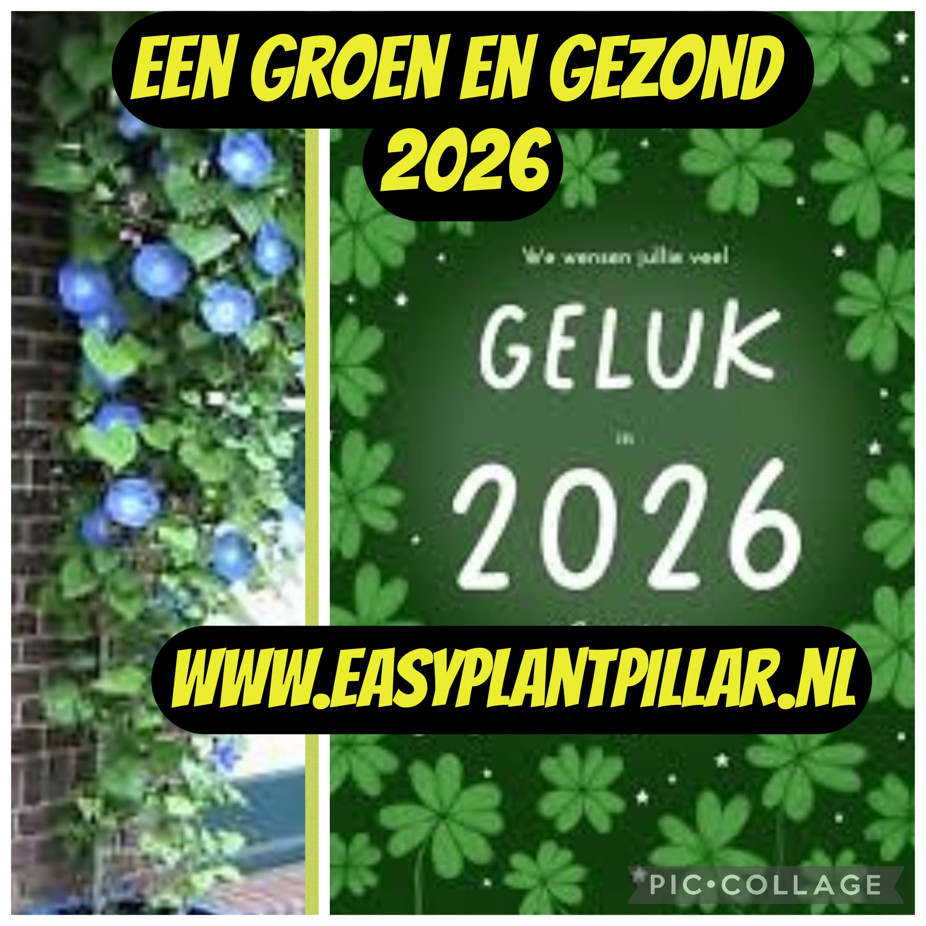 10% EINDE JAARS KOERTING