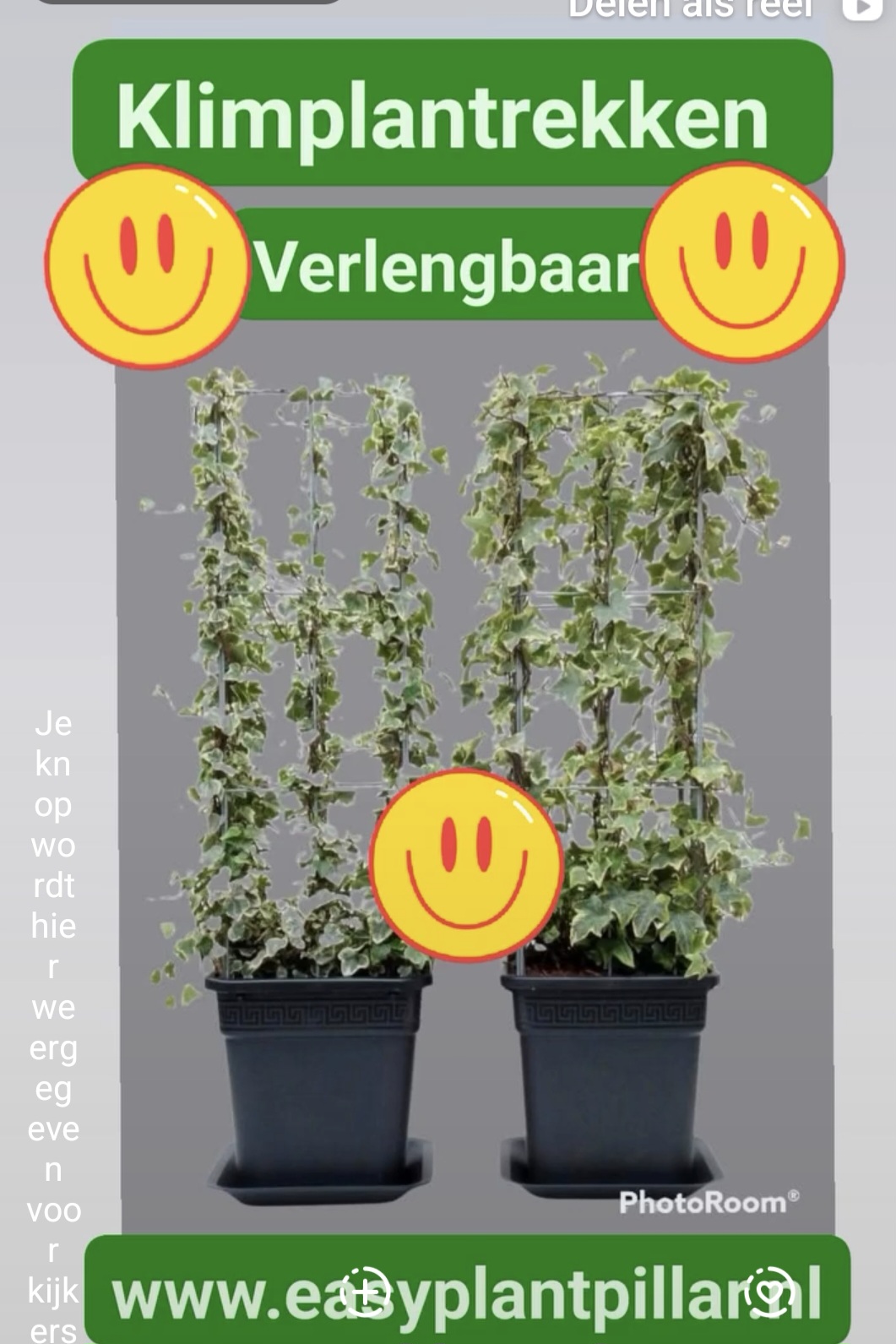 VERTICAAL TUINIEREN, met draadrekken van Easy Plant Pillar (EPP)            Verlengbaar en Roestvrij
