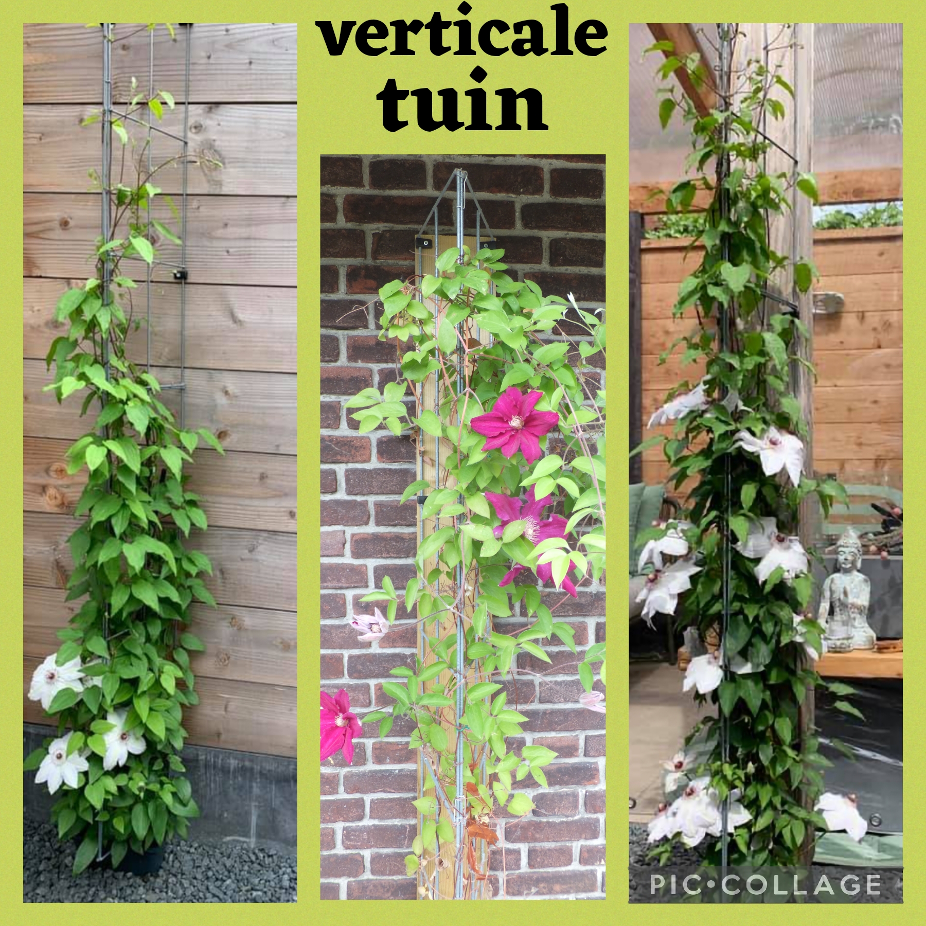 VERTICAAL TUINIEREN, met draadrekken van Easy Plant Pillar (EPP)            Verlengbaar en Roestvrij.