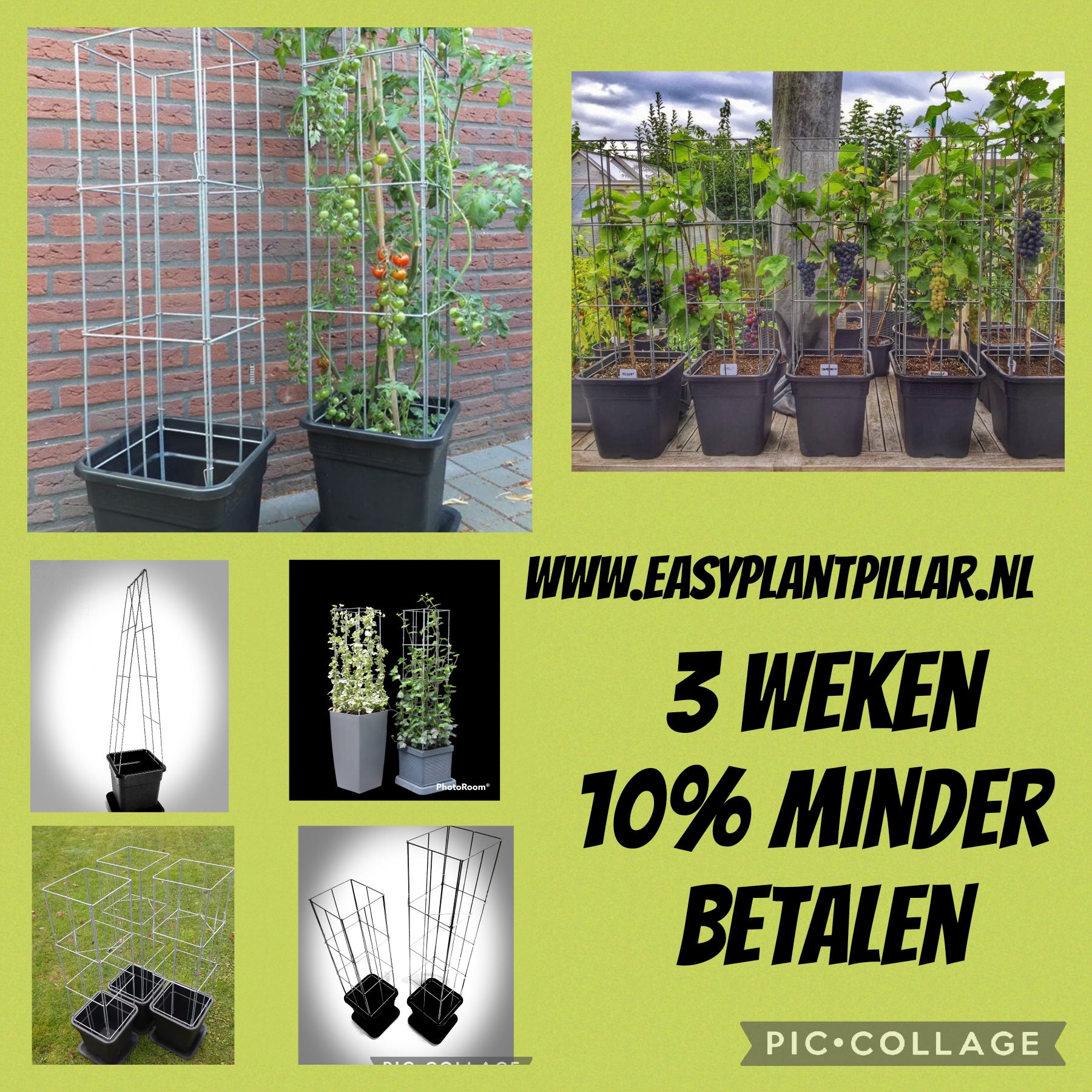 VERTICAAL TUINIEREN, met draadrekken van Easy Plant Pillar (EPP)            Verlengbaar en Roestvrij.
