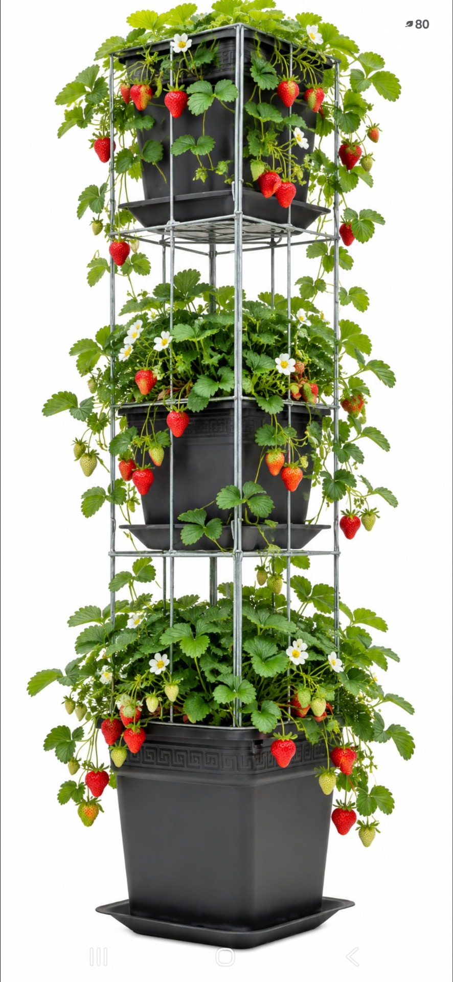 VERTICAAL TUINIEREN, met draadrekken van Easy Plant Pillar (EPP)            Verlengbaar en Roestvrij.