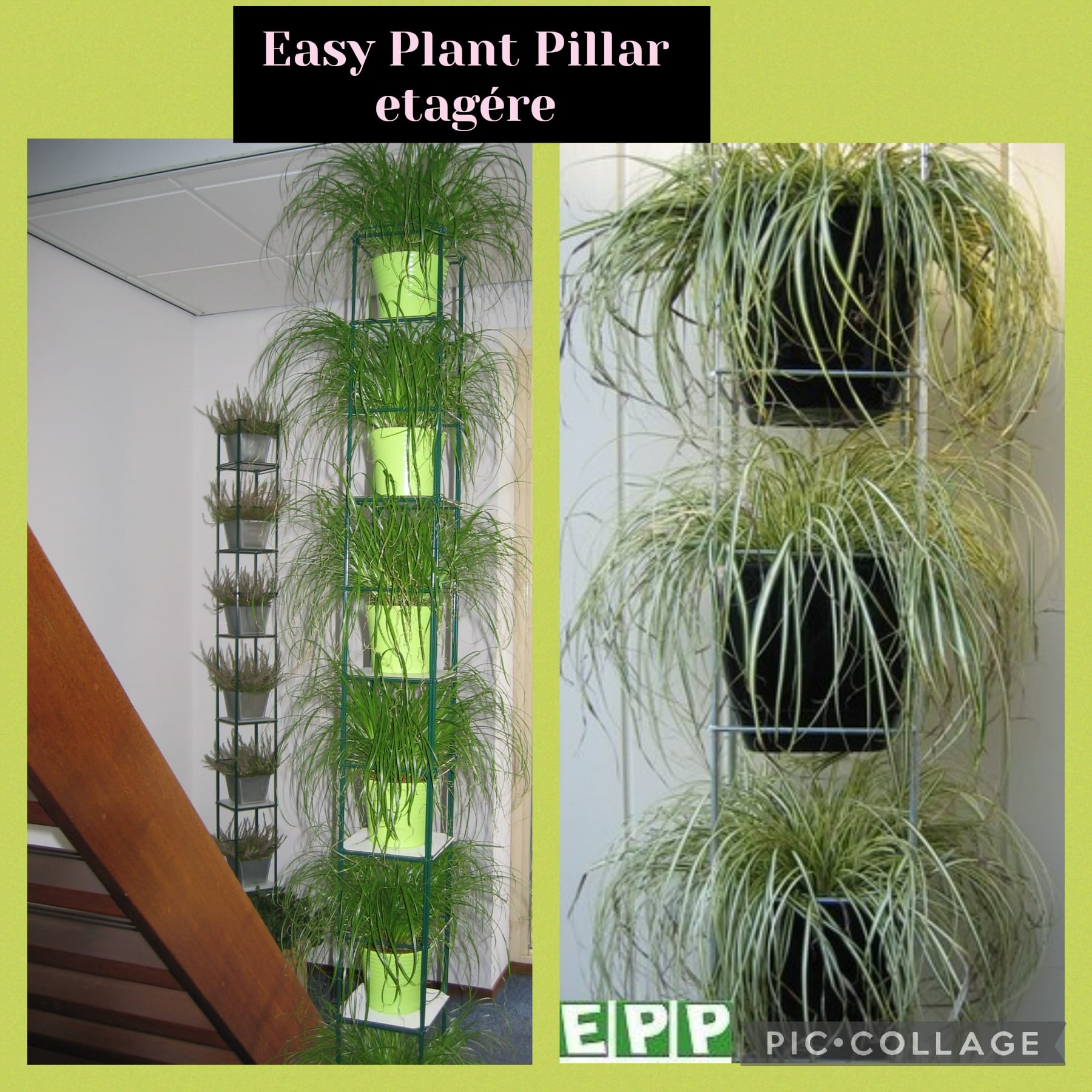 VERTICAAL TUINIEREN, met draadrekken van Easy Plant Pillar (EPP)            Verlengbaar en Roestvrij.